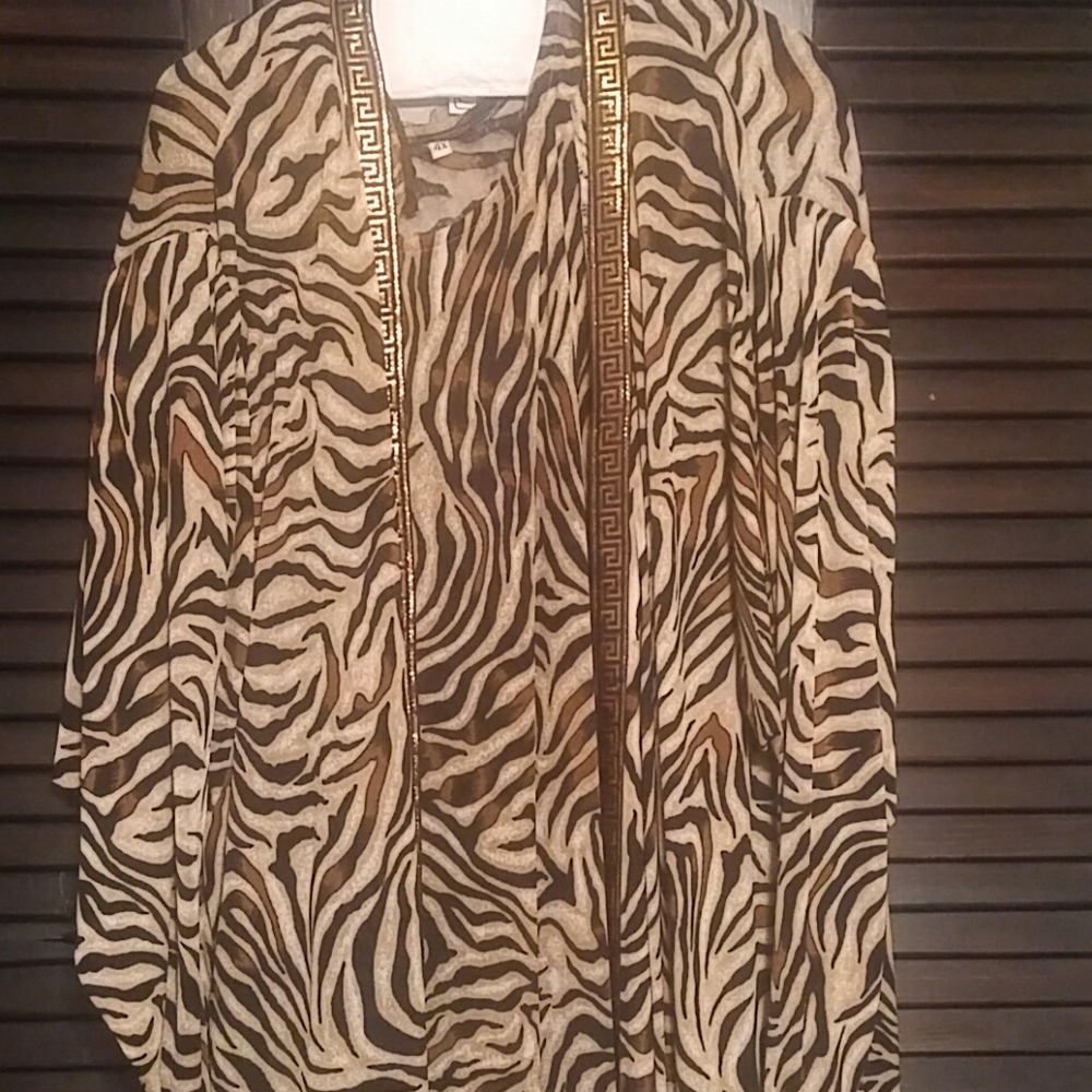 Animal print dress & jacket size 4X